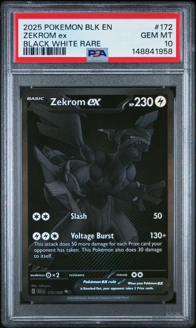 Zekrom ex slab