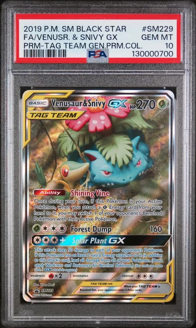 Venusaur & Snivy-GX slab