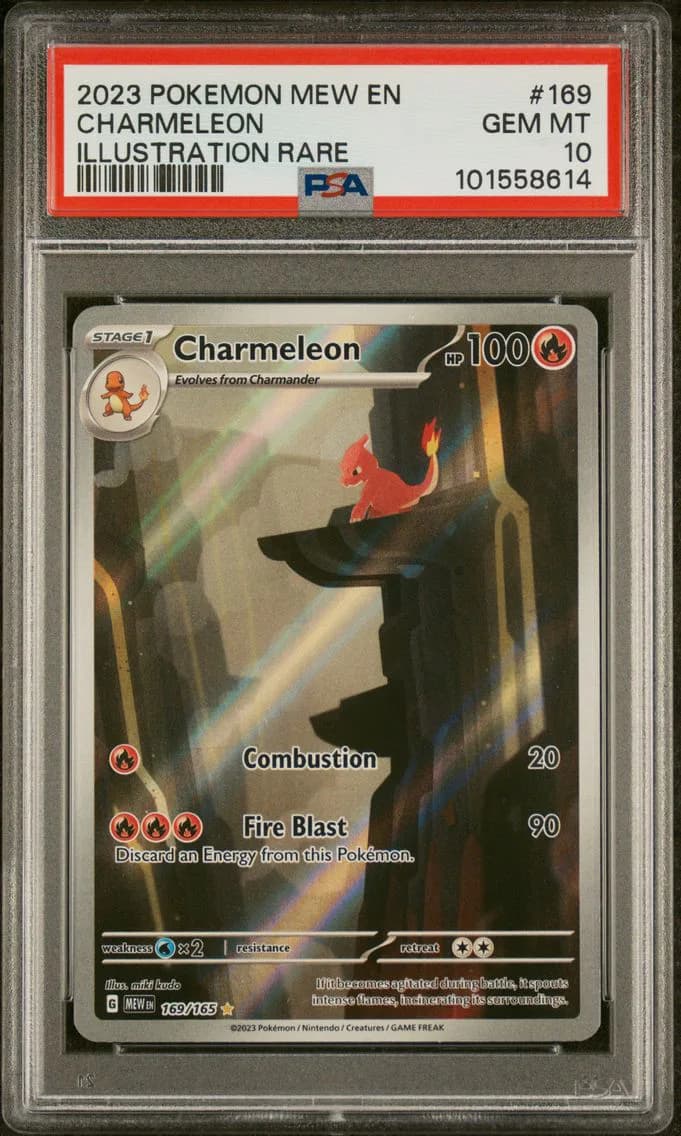 Charmeleon slab