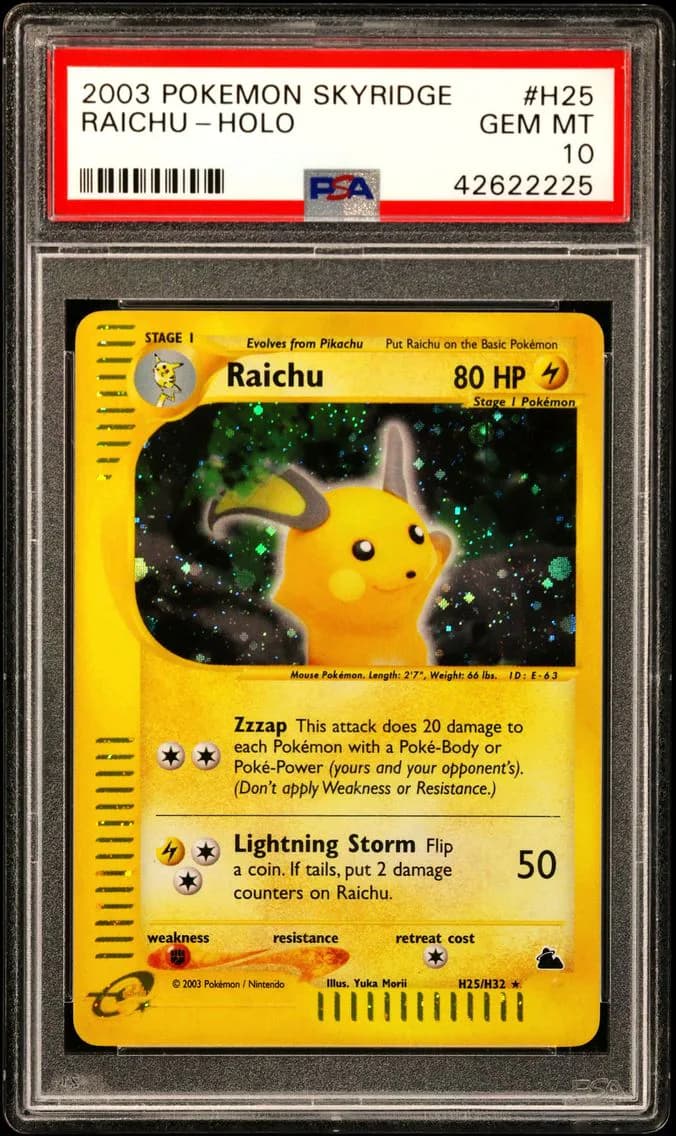 Raichu slab