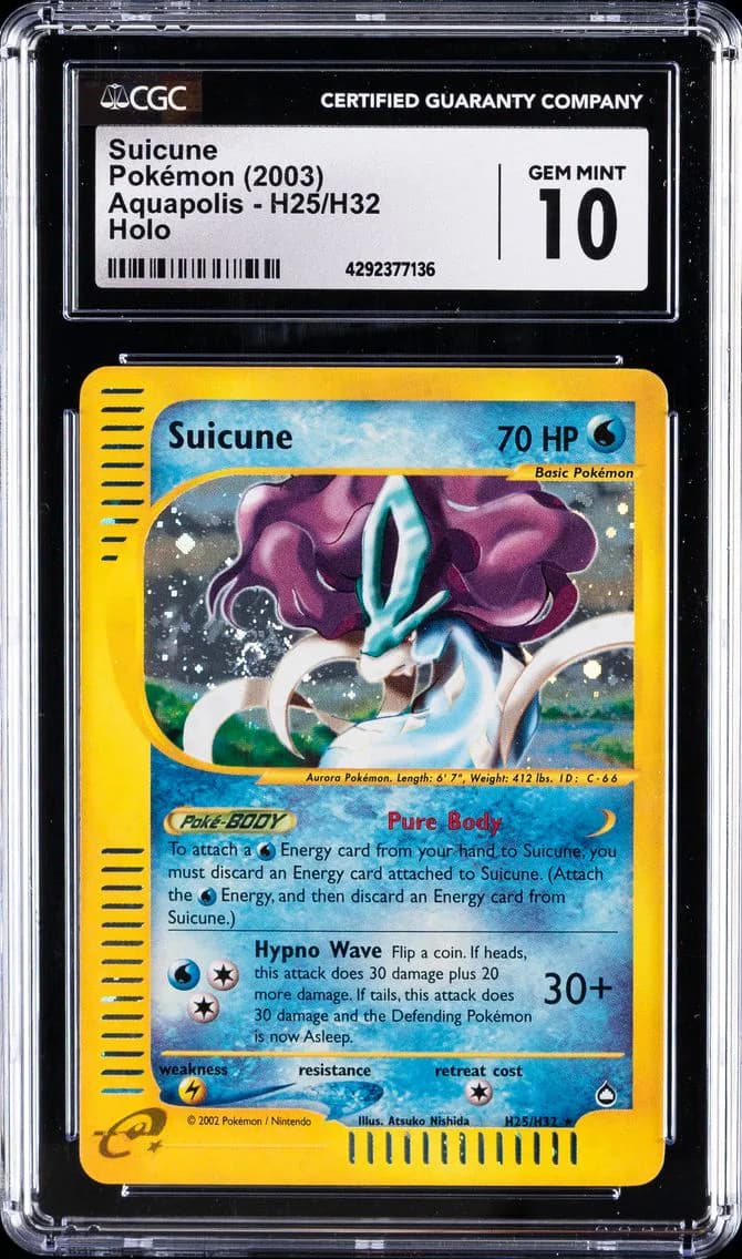 Suicune slab