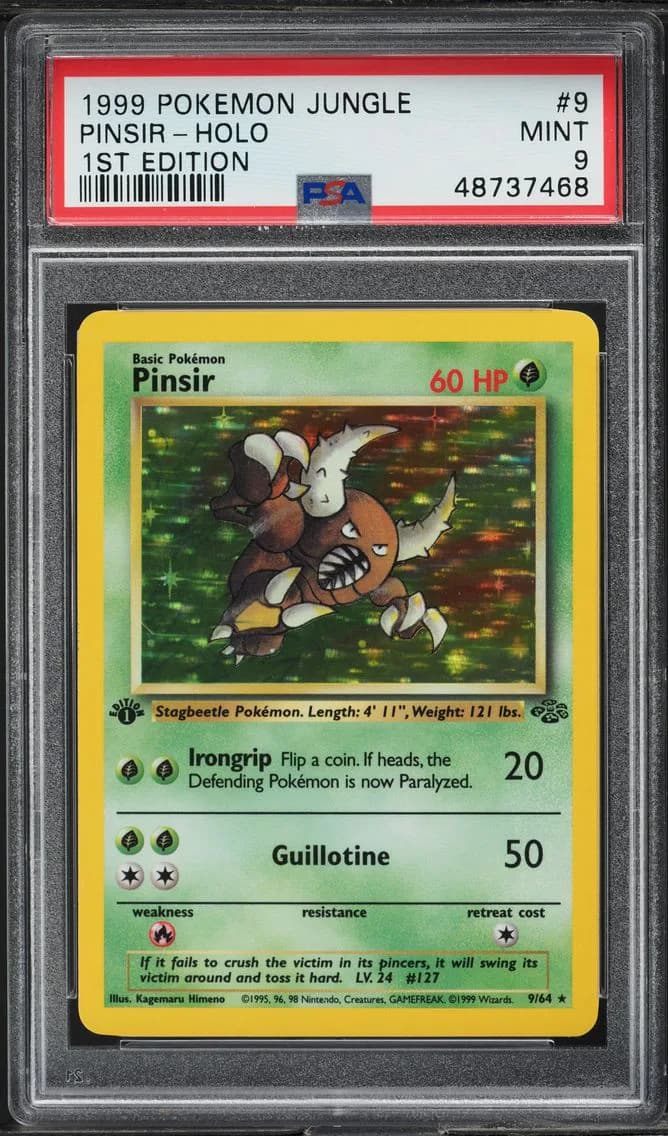 Pinsir slab