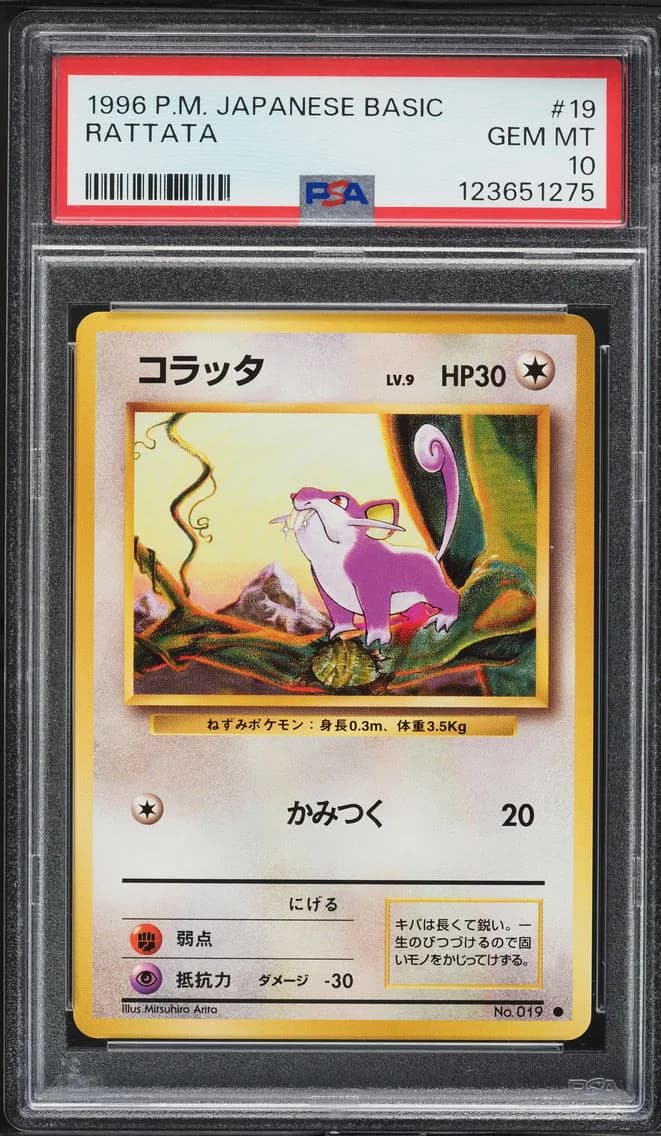 Rattata slab