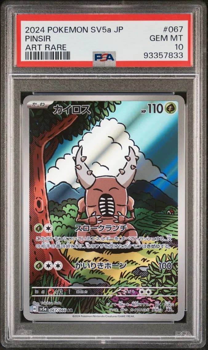 Pinsir slab