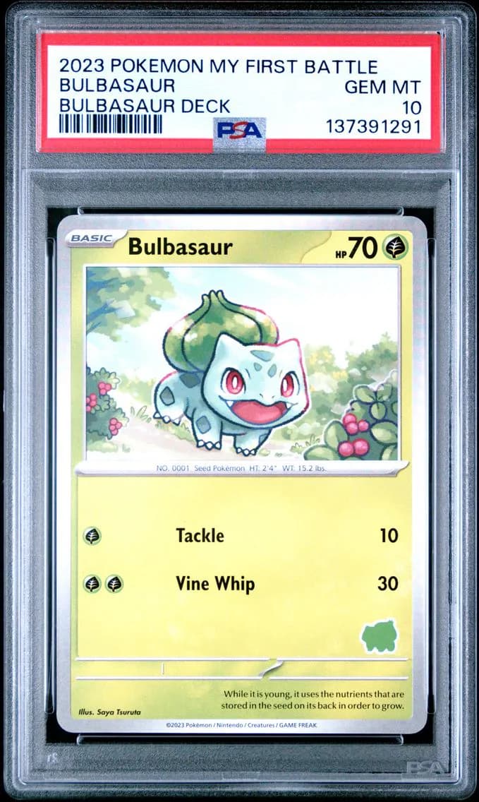 Bulbasaur slab