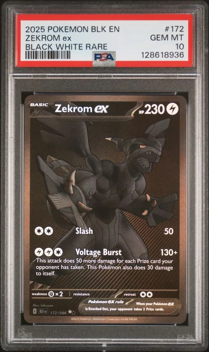 Zekrom ex slab