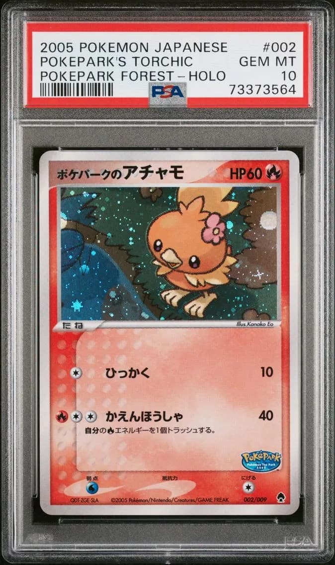 Torchic slab