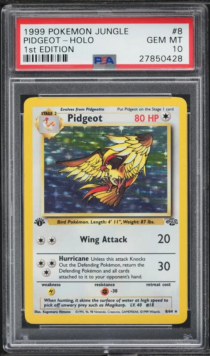 Pidgeot slab