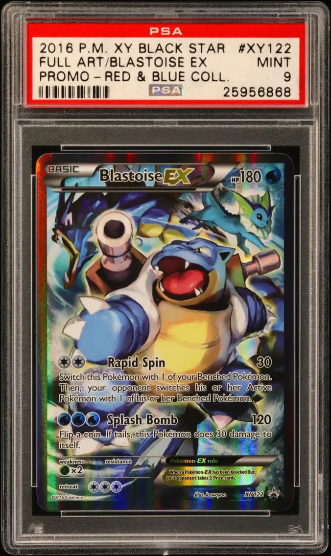 Blastoise-EX slab